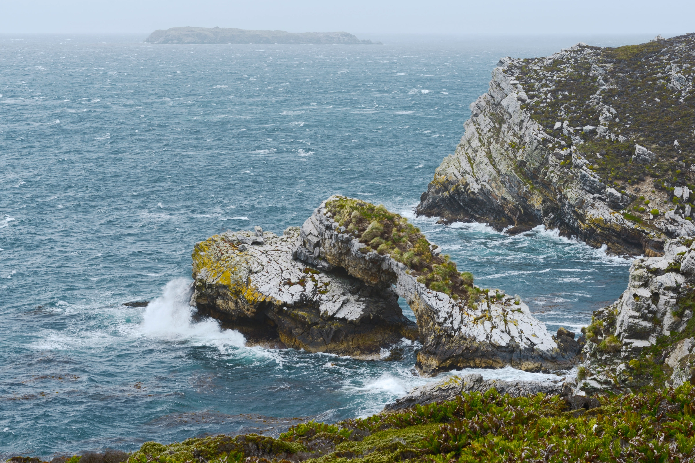 East_Falkland[1] (1).webp